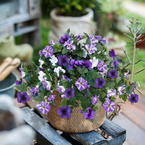 Flores Artificiales de Gloria DE LA Mañana, Cesta Floral Colgante, Plantas, <span class=keywords><strong>Petunias</strong></span> de Seda, Decoración de Balcón, Jardín, Decoración, 1, 2, 2 - Product Image 6