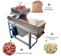 Produit le plus vendu Machine à peler pour cacahuètes grillées, arachides, noisettes, noix de cajou, équipement de pelage, machine à écraser le cacao