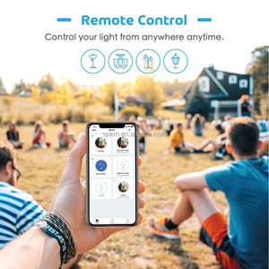 SPKM DS-122 2.4Ghz WiFi Alexa & 谷歌语音控制三向图雅智能灯开关双按钮控制智能家居产品 - Product Image 6