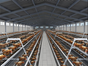 Hiện Đạ<span class=keywords><strong>i</strong></span> Thiết Kế Công Nghiệp Thân Thiện Mô<span class=keywords><strong>i</strong></span> Trường Trọng Lượng Nhẹ Đúc Sẵn Kết Cấu Thép Gà Nhà Gia Cầm Nhà - Product Image 2