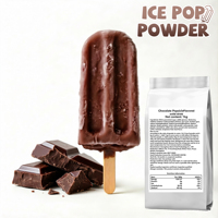 Poudre de préparation instantanée pour sucettes glacées saveur chocolat, bon prix, faible MOQ, paquet de 1 kg, pour machine à sucettes glacées