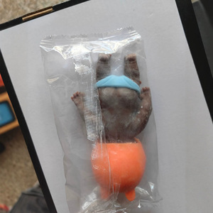 11CM <b>Plastic</b> <b>Net</b> Red Natasha with Hat Chen Dabo Skin Pinch Decompression Dumplings African Black Baby Pinch Music 3+ Boxed - Product Image 4