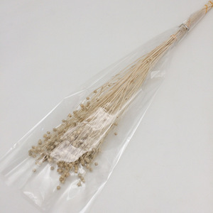 Fleurs séchées Sesamum indicum Flax Fait à la main Préservé Naturel Fleurs et plantes décoratives pour mariage Décoration de la maison - Product Image 6