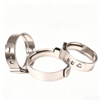 Collier de serrage pour tuyau de moto en acier inoxydable, non réglable, de type simple, sans forme, pour plaque d'immatriculation, pince métallique