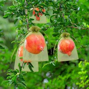 Wholesale Mango Covering <b>Insect</b> Proof <b>Mesh</b> Bag Organza Reusable Fruit Protection Bags for Garden Netting <b>Insect</b> Prevention - Product Image 3