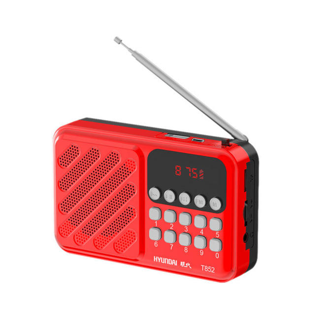 Portable Plastic FM Radio with USB TF Card MP3 Player Flashlight Rechargeable Battery & LED Display