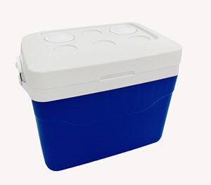 outdoor camping picnic PP insulated food fresh keeping cooler box