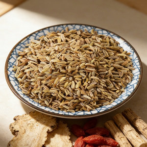 Graines <span class=keywords><strong>de</strong></span> fenouil salées, directement <span class=keywords><strong>de</strong></span> l'usine, pour réchauffer les reins, éliminer le froid, soulager la douleur et assaisonner les plats mijotés - Product Image 5