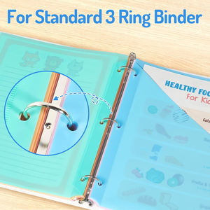 Divisori per Raccoglitori in Plastica Multicolore Traslucidi con 3 Fori Formato Lettera Tasche Assortite - Product Image 6