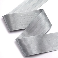 Offre Spéciale polyester matériel ceinture de randonnée solide couleur argent solide non élastique accepter sangle de sécurité personnalisée