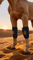 Enveloppe de Genou Souple pour Chevaux à Thérapie par Lumière Rouge 660nm 850nm Infrarouge LED 92 LED avec Contrôle par Panneau Tactile pour la Récupération Articulaire Équine et l'Équitation