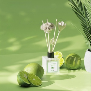 Difusor de Aroma Comercial para Hoteles, Juego de Botellas Difusoras de Varillas de Ratán Natural para el Hogar, Ambientador Decorativo con Aroma - Product Image 5
