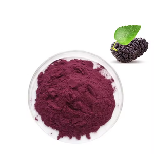 卸売OEMオーガニックフルーツドリンクミックスフリーズドライフルーツパウダーフリーズドライストロベリーブルーベリー桑ラズベリーパウダー - Product Image 2