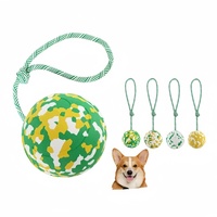 Jouet interactif pour chien personnalisable et résistant aux morsures, échantillons disponibles, balle biodégradable pour chien, jouet pour chien