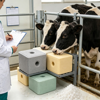 Grand stock de blocs de sel minéral pour animaux, supplément nutritionnel pour le bétail d'élevage en pâturage
