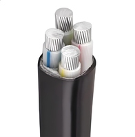 Kabel Inti Aluminium Berlapis PVC Berisolasi untuk Industri & Konstruksi Kelautan Tegangan Rendah