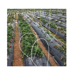 Tige en fibre de verre flexible, tiges en FRP pour mât de drapeau et canne à pêche - Product Image 3