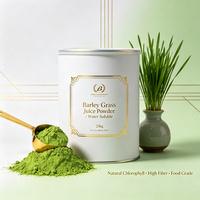 SUPER GREENS Extrait de poudre d'herbe d'orge et de chlorophylle 10:1, séché à l'eau, qualité alimentaire, en fût plastique, ISO/HALAL, OEM, en vrac