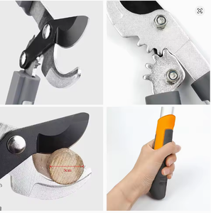 AIRAJ Sk5 Électrique Bypass Trimmer Lopper Ratchet Télescopique Jardin Cisaille pour Élagage Des Arbres DIY Jardinage avec Métal Bonsaï Plante - Product Image 3