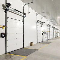 Panneau de porte en acier de haute qualité 40 mm pour porte de garage automatique moderne à levage vertical pour entrepôt industriel et hôtel