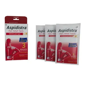 Muestras gratis Efecto rápido Chino Tradicional Herbal Articulación Nervio ciático Parche para aliviar el dolor de espalda Yeso