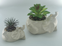 2025 Pots succulents d'intérieur décoratifs pour la maison Couvertures de pots de fleurs en céramique pour une utilisation en extérieur et en intérieur