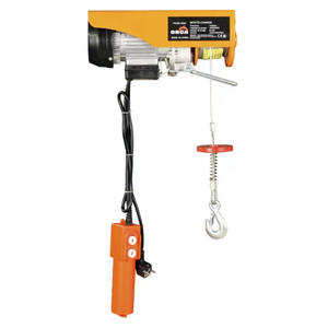 Mini 300kg industrie de levage Construction 500kg usine fournie Micro 200kg 12V Mini palan électrique - Product Image 1