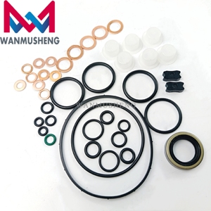 Chất lượng tốt 800637 DIESEL ve sửa chữa máy bơm Kit Đại Tu 800637 với dầu niêm phong - Product Image 1