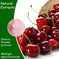 Private Label Kersenpoeder Kersenextract Vitamine C Roze Natuurlijk Concentraat Kersenextractpoeder Kersenpoeder