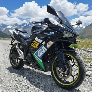 Motocicleta Kawasaki Ninja <span class=keywords><strong>H2</strong></span> de 1000cc, 4 Cilindros en Línea, Refrigerada por Líquido, Supercargada, Hiperdeportiva, Fabricada en China - Product Image 2