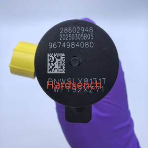 Inyector de Combustible Diésel DS7Q-9F593-BB 9674984080 28319895 28388960 28602948 para F/O-/R-D <span class=keywords><strong>P</strong></span>/<span class=keywords><strong>E</strong></span>-/U-<span class=keywords><strong>G</strong></span>-<span class=keywords><strong>E</strong></span> - Product Image 3