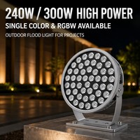 Projecteur LED CRANE OEM ODM 240W 300W DMX512 RGBW Haute Puissance pour Extérieur, Idéal pour Piliers de Bâtiments, Murs Rocheux et Aménagements Paysagers