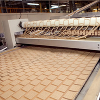 Ligne de production de biscuits moelleux entièrement automatique en acier inoxydable à haute efficacité, machine de traitement de la farine, capacité de 833 kg/h