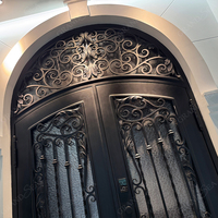 Portes extérieures en fer forgé de style arche, portes françaises doubles, portes extérieures anti-ouragan de type Florida pour les maisons