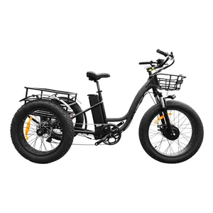 Volwassen Elektrische Driewieler Fiets 3 Wiel Elektrische Trike Elektrische Tricycle250w/350W Hub Motor Lithium Batterij Aluminium Frame