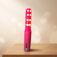 Équipement laser à diode certifié CE pour le traitement de la vaginite, de l'inflammation gynécologique et de la cervicite
