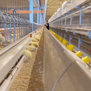 Cage à poulets de chair à prix avantageux, conception modulaire à plusieurs niveaux, cage à poulets automatique pour élevage avicole commercial à grande échelle - Product Image 2