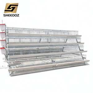 Jaulas de <span class=keywords><strong>gallinero</strong></span> galvanizadas tipo A para cría de aves de corral, jaulas de batería para gallinas ponedoras en venta - Product Image 5
