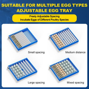 Incubadora Automática para 350 <span class=keywords><strong>Huevos</strong></span> de Gallina, Máquina para Incubar <span class=keywords><strong>Huevos</strong></span> de Aves de Corral para Uso en Granjas - Product Image 3