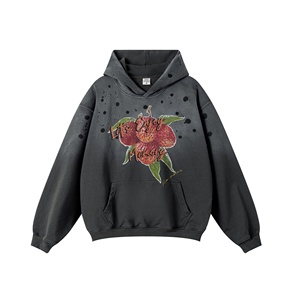 Sudadera con capucha con estampado de lichi de fruta pintada a mano americana de talla grande suelta de otoño e invierno para hombre de alta calidad - Product Image 3