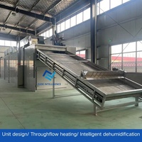 Hoogwaardige RVS 304 Dehydrator Machine Fruittransportband Hetelucht Zeevisdroogmachine Groente Mesh Belt Droger
