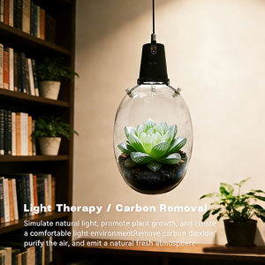 Lampe de culture <span class=keywords><strong>LED</strong></span> à spectre complet pour plantes, hauteur réglable, minuterie automatique, fixation murale, écologique, pour micro-paysages intérieurs - Product Image 5