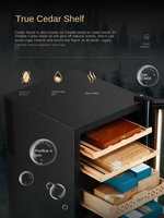 Armoire à cigares Bacchus/Barkes avec éclairage LED, noire, électronique, à température et humidité constantes, refroidie par air, en bois de cèdre nu, rouge