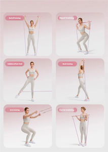 Bande de Résistance Élastique Portable en TPE pour Entraînement des Épaules et du Dos, Pilates, Fitness à Domicile, Colorée et Réglable pour Porte - Product Image 2