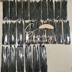 Bán Buôn Nhiều Màu Sắc 100 Pcs 40-45Cm Tự Nhiên Dậu Coque Đuôi Lông Cho Lễ Hội Samba Kỳ Nghỉ Trang Phục Trang Trí - Product Image 2