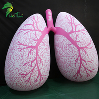 Modèle gonflable géant humain de poumon de ballon gonflable en plastique de PVC d'affichage de promotion d'événement