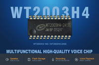 Waytronic WT2003H4-16S Puce IC audio MP3 pour enregistrement sonore et musique flash