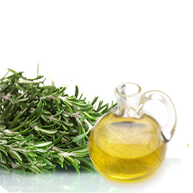 CAS:77-52-1 Rosemary Extract Ursolic acid powder
