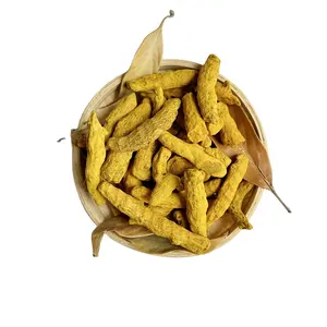 Nord de gros Natural YELLOW racines de curcuma séchées pour la cuisson des aliments Curcuma Finger