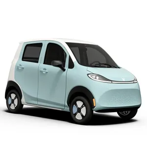 Venta caliente nueva energía auto electrico dos plazas adulto mini China coche eléctrico inteligente EEC precio en coche nuevo